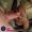 Sex Doll Porn-Oral Sex