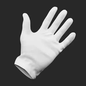Gloves (FREE)