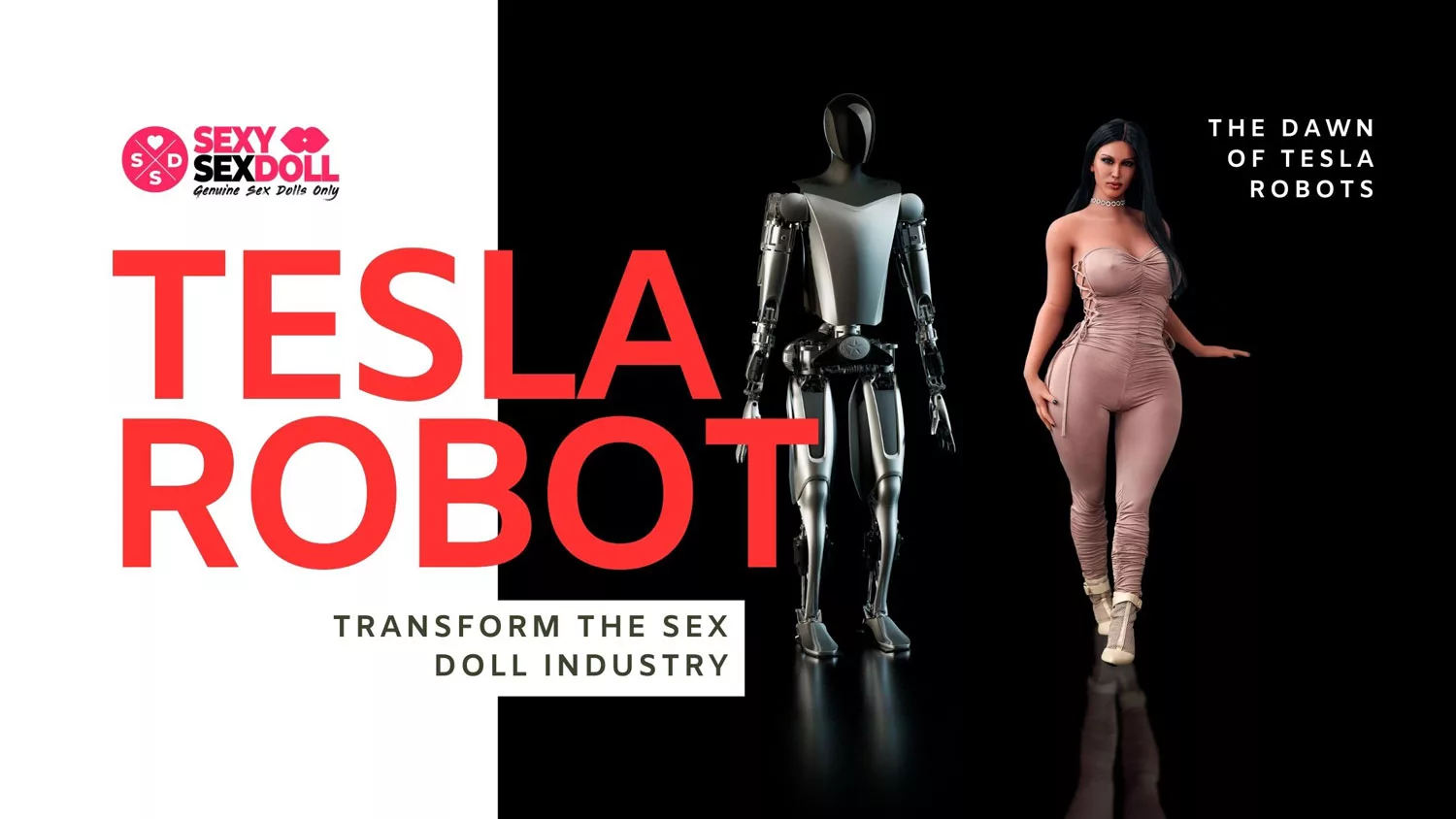 How Tesla Robots Will Integrate Into Our Daily Lives and Transform the Sex Doll Industry