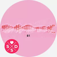 B1