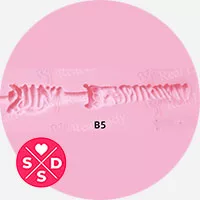 B5