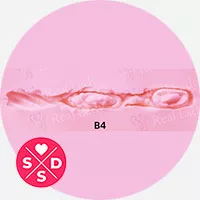 B4